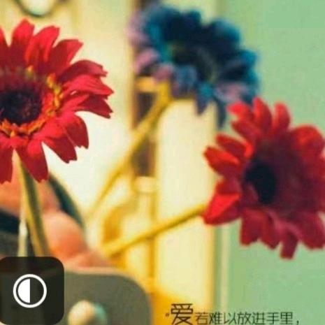春暖花开