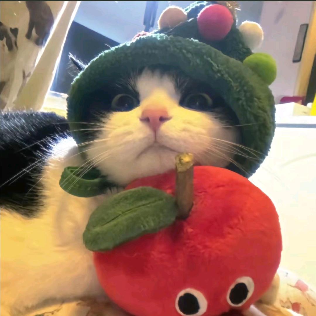 阿刚不想努力了