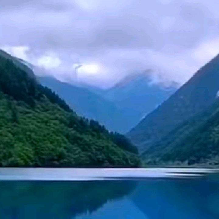 老铁随性