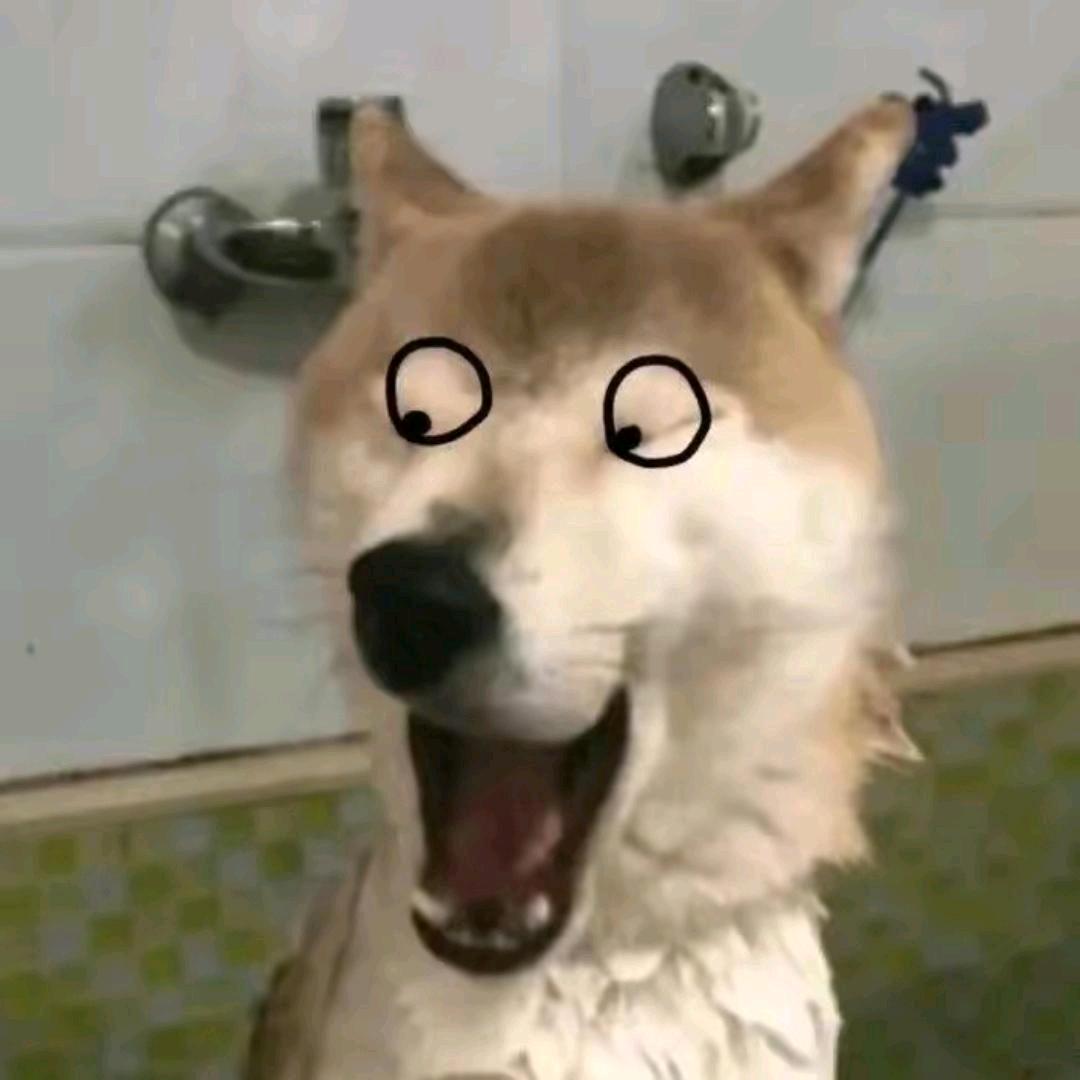 车贴遇App