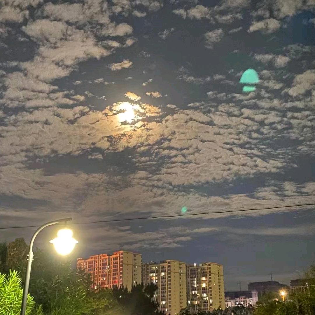 重生之我在城大上学