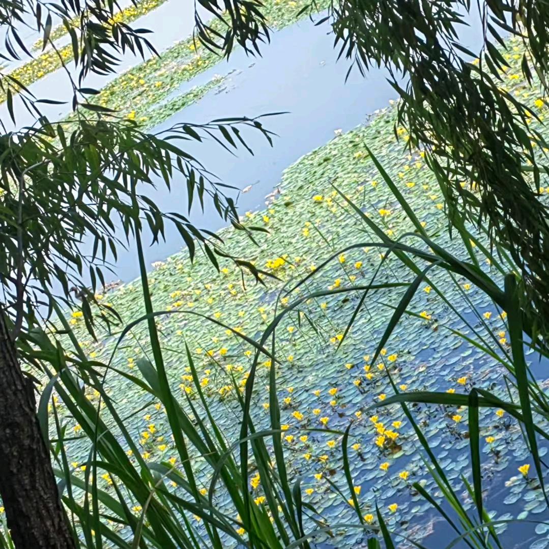 小可爱1240248287890