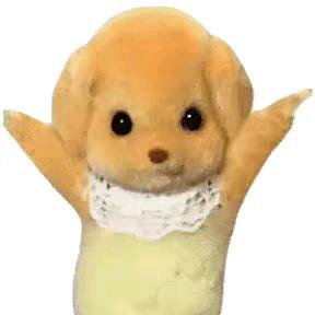 泡泡肥猫ฅ'ㅅ'ฅ