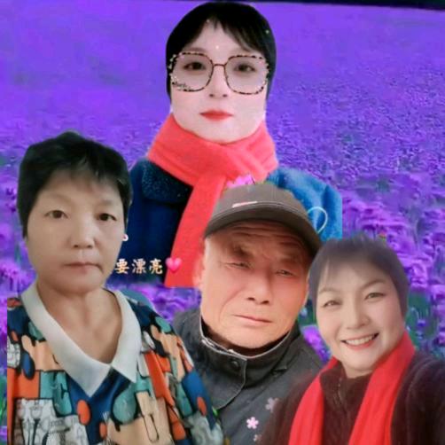 天若有情