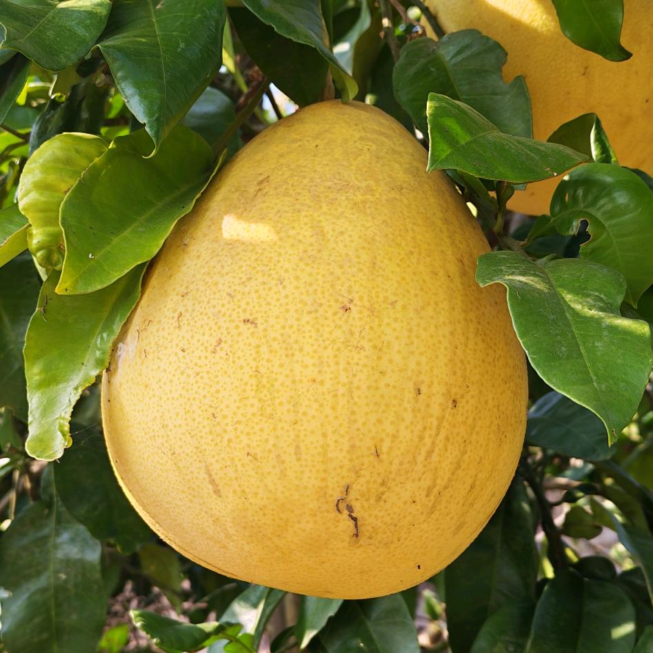 黄金搭档《带着摄影师去流浪》