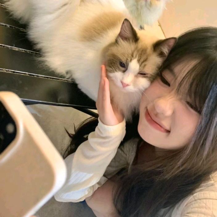 淮枳