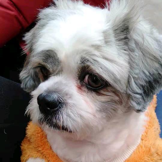 带着馒头去打劫（拒私聊）