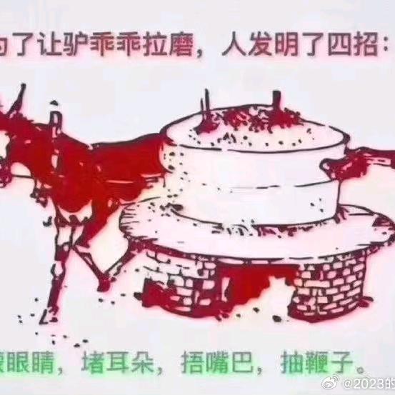 阳信快一点