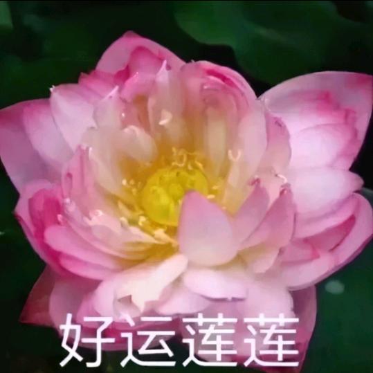 886〠