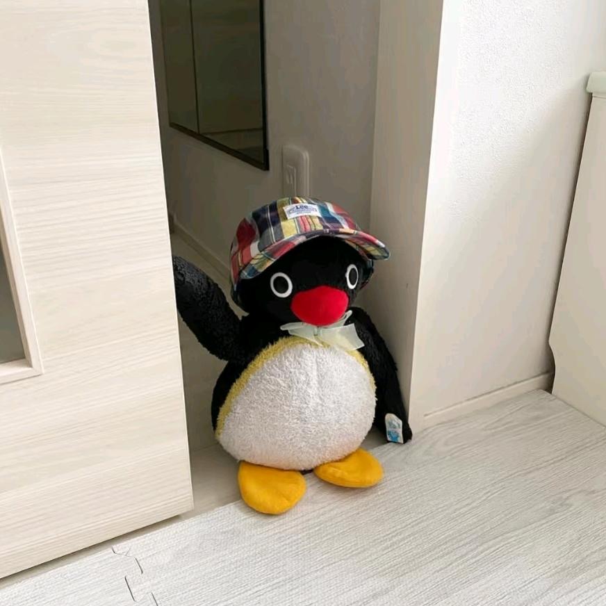 网恋被骗退休金69万靠着拼好饭苟