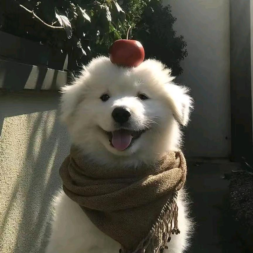 吃不饱就吃吃吃