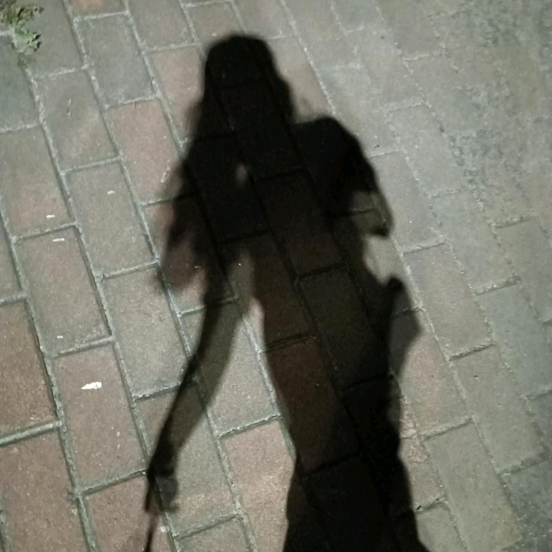 不吃香香香菜