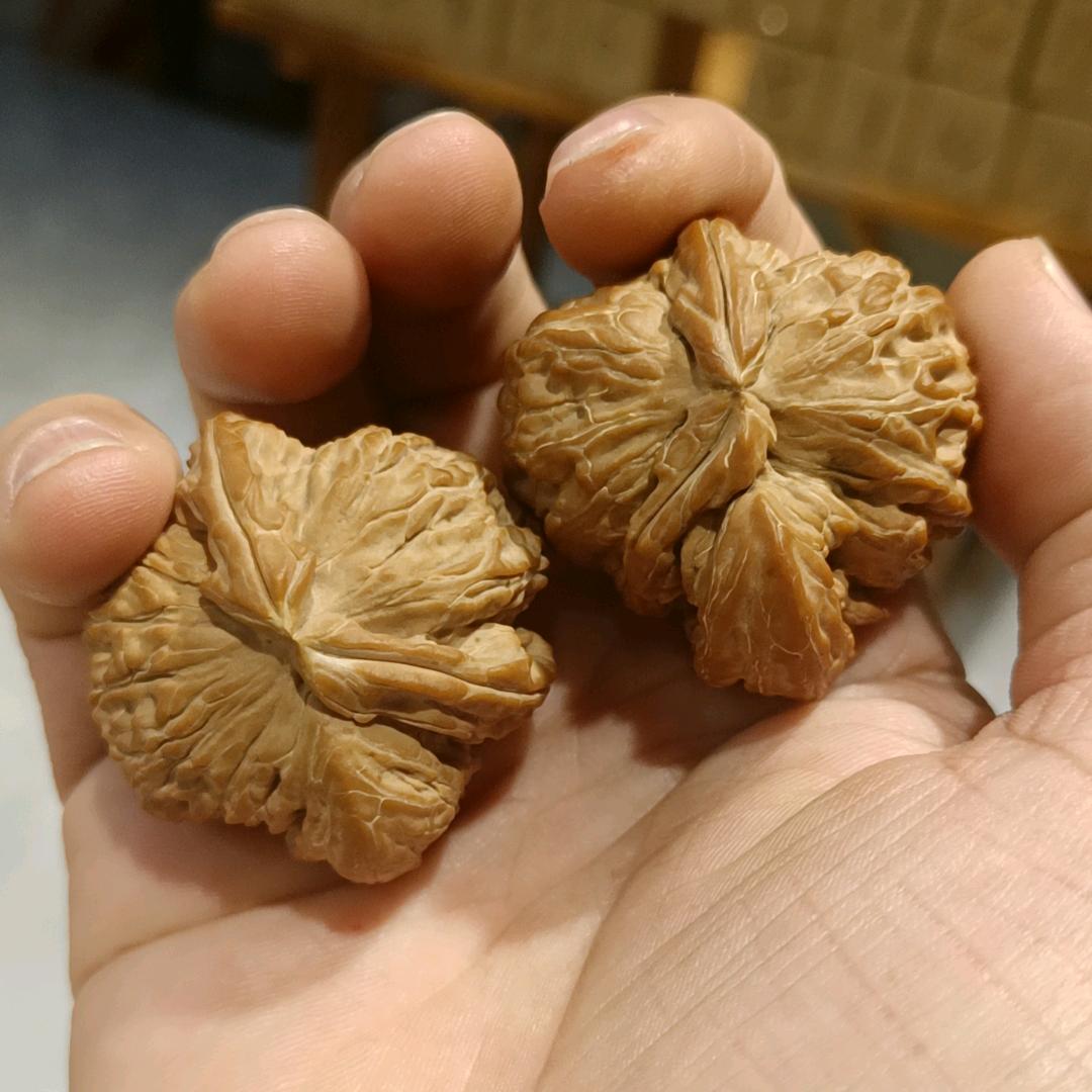 太行山麻核桃直销