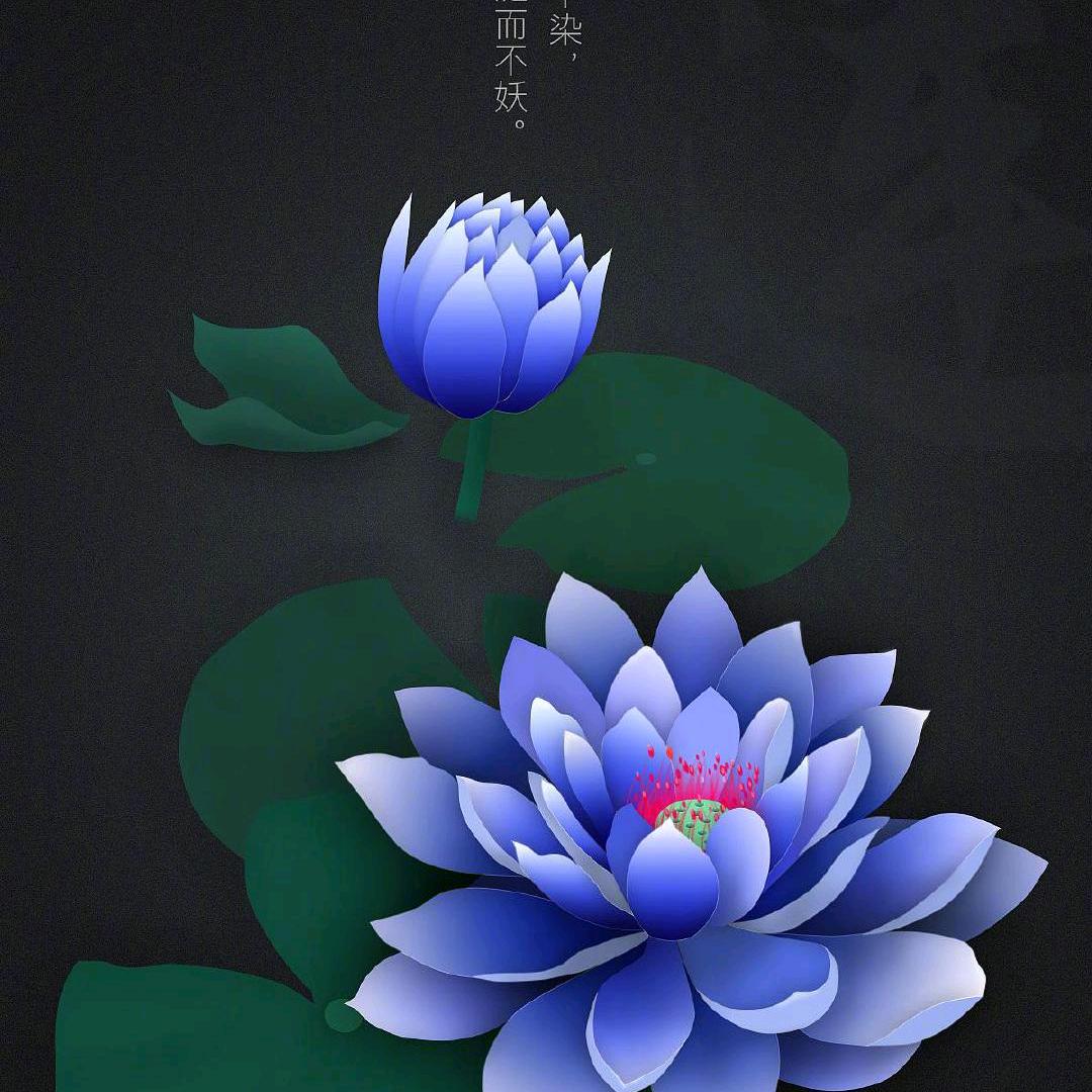 结善缘🍎善人之事