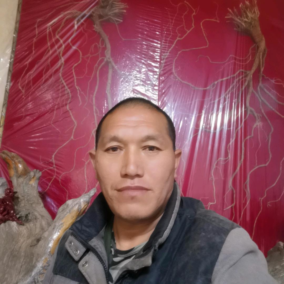 大山里的守望者