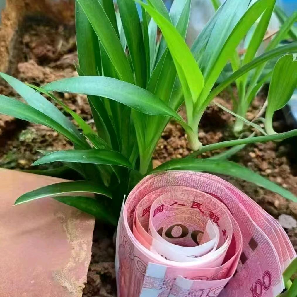 任方随圆