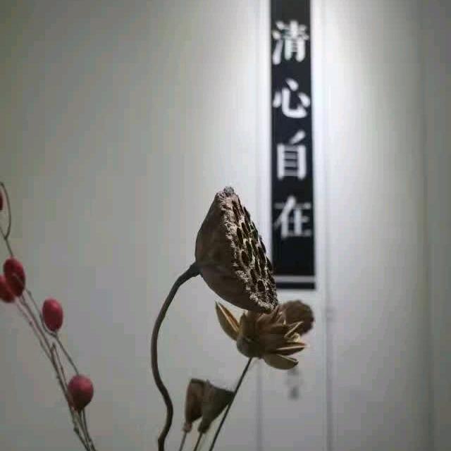 莫问我是谁