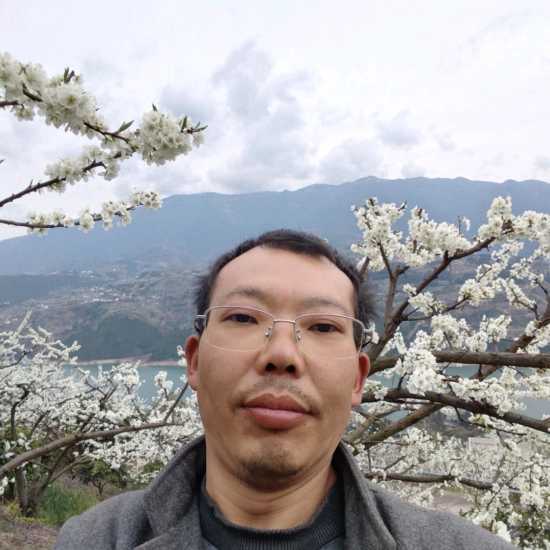 陈       陈