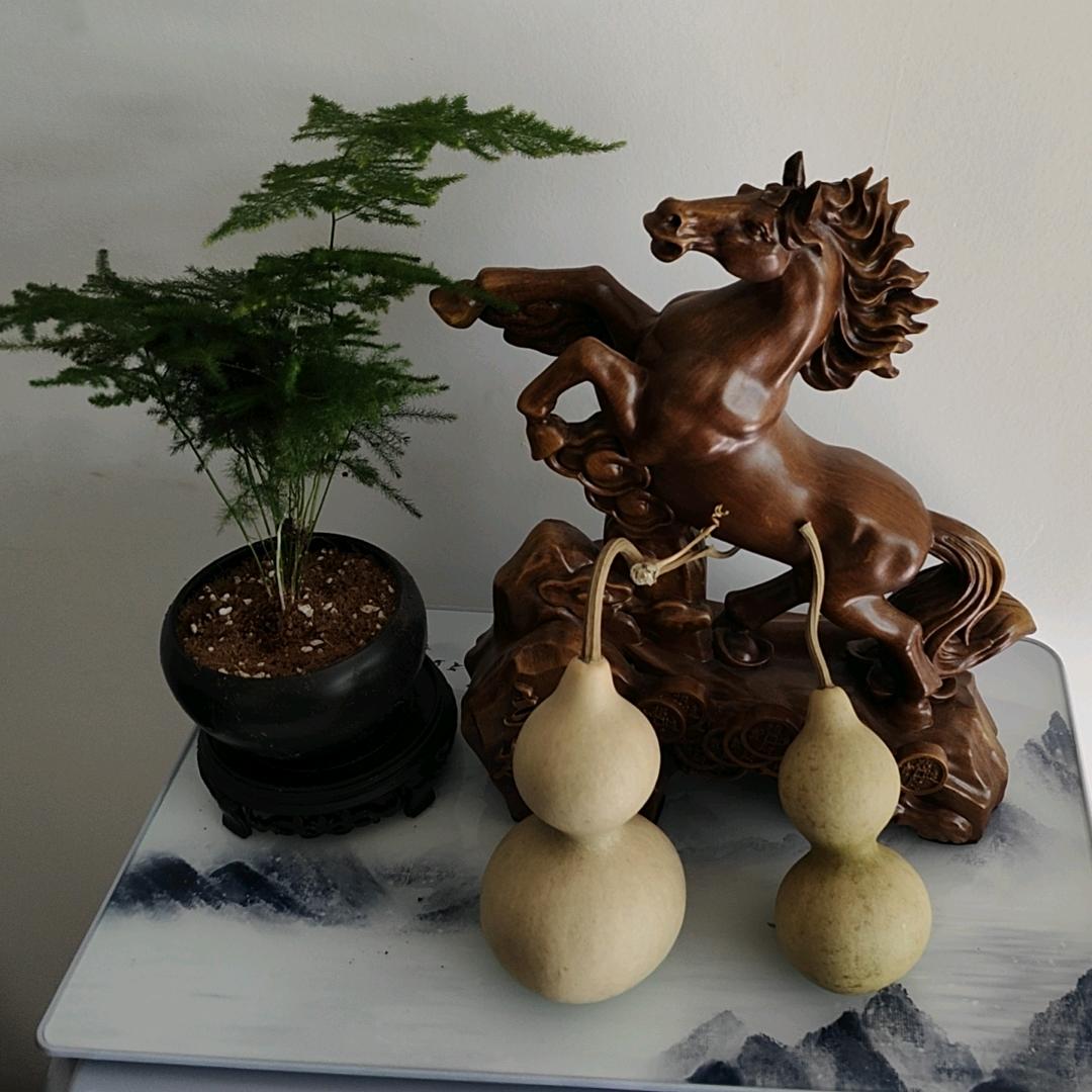 漫步