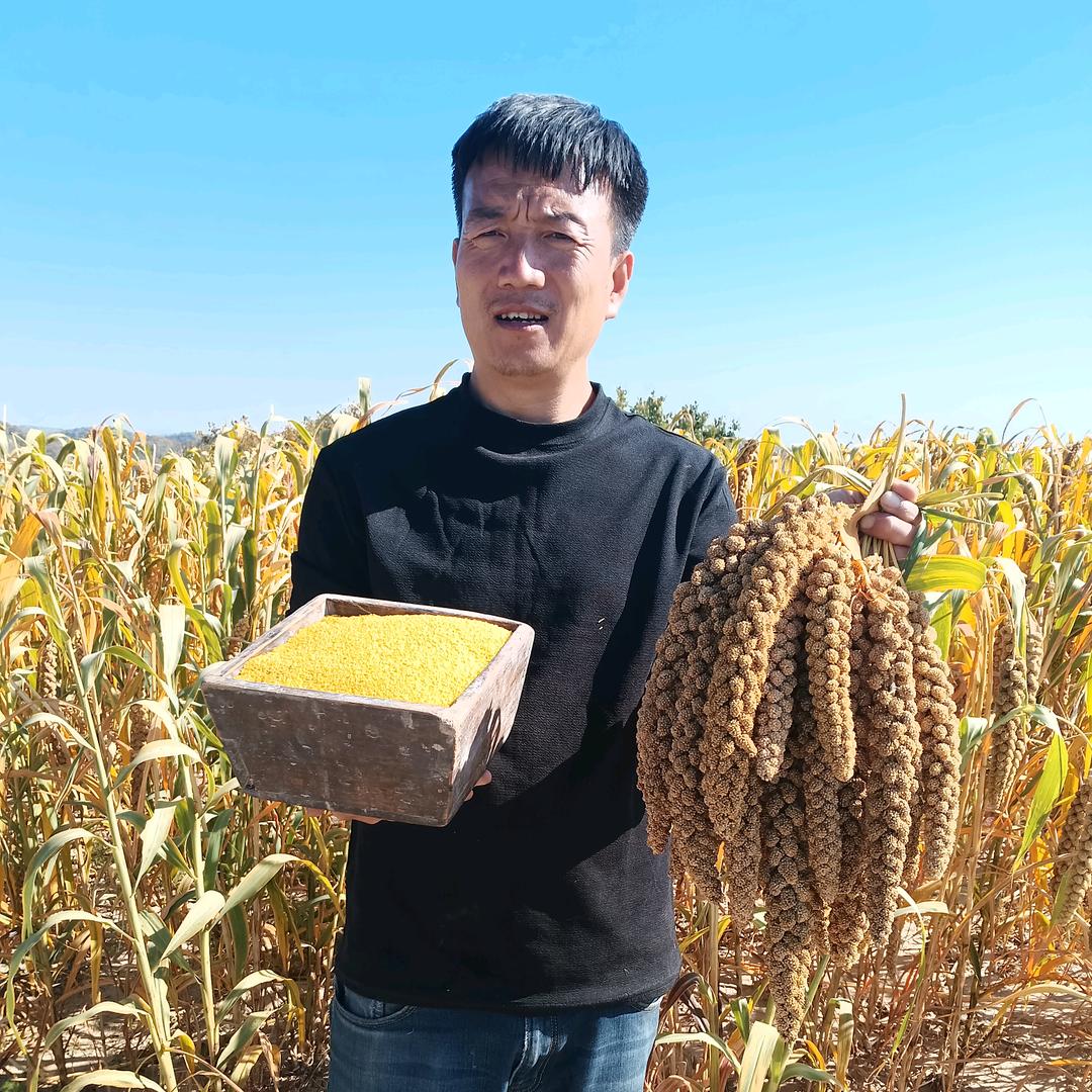 陕北六哥（助农电商）