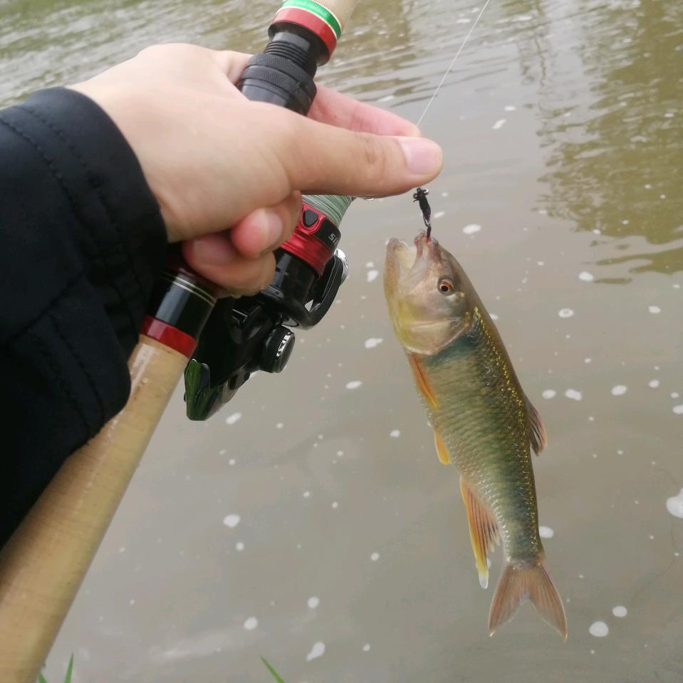 风止…