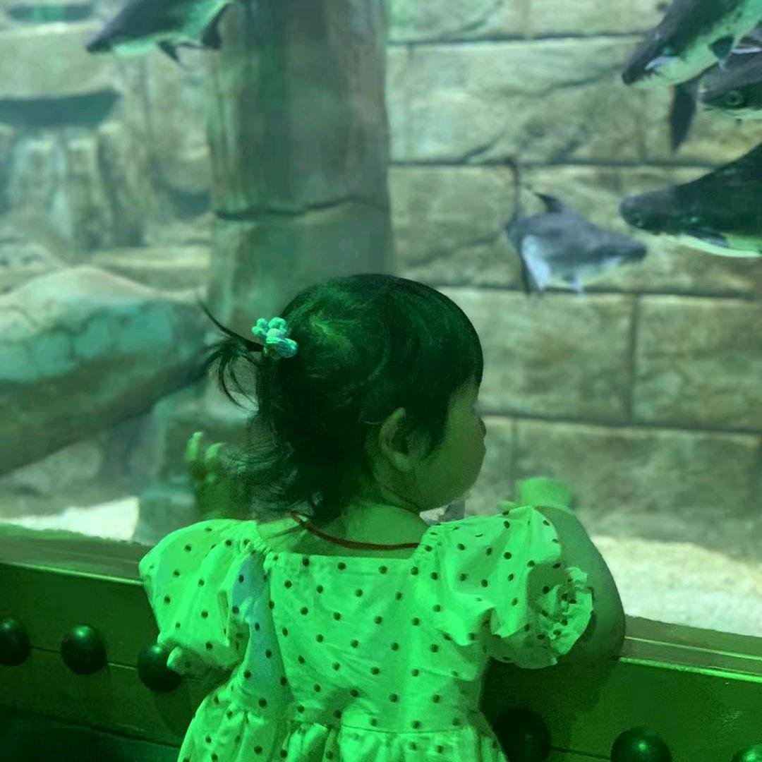 爱跳舞的凤开心就好