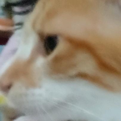 文惠