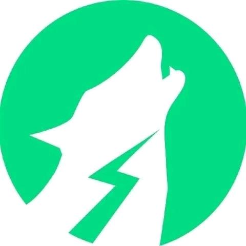 洛阳冲电狼 陈宝