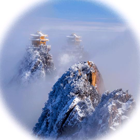正心头像