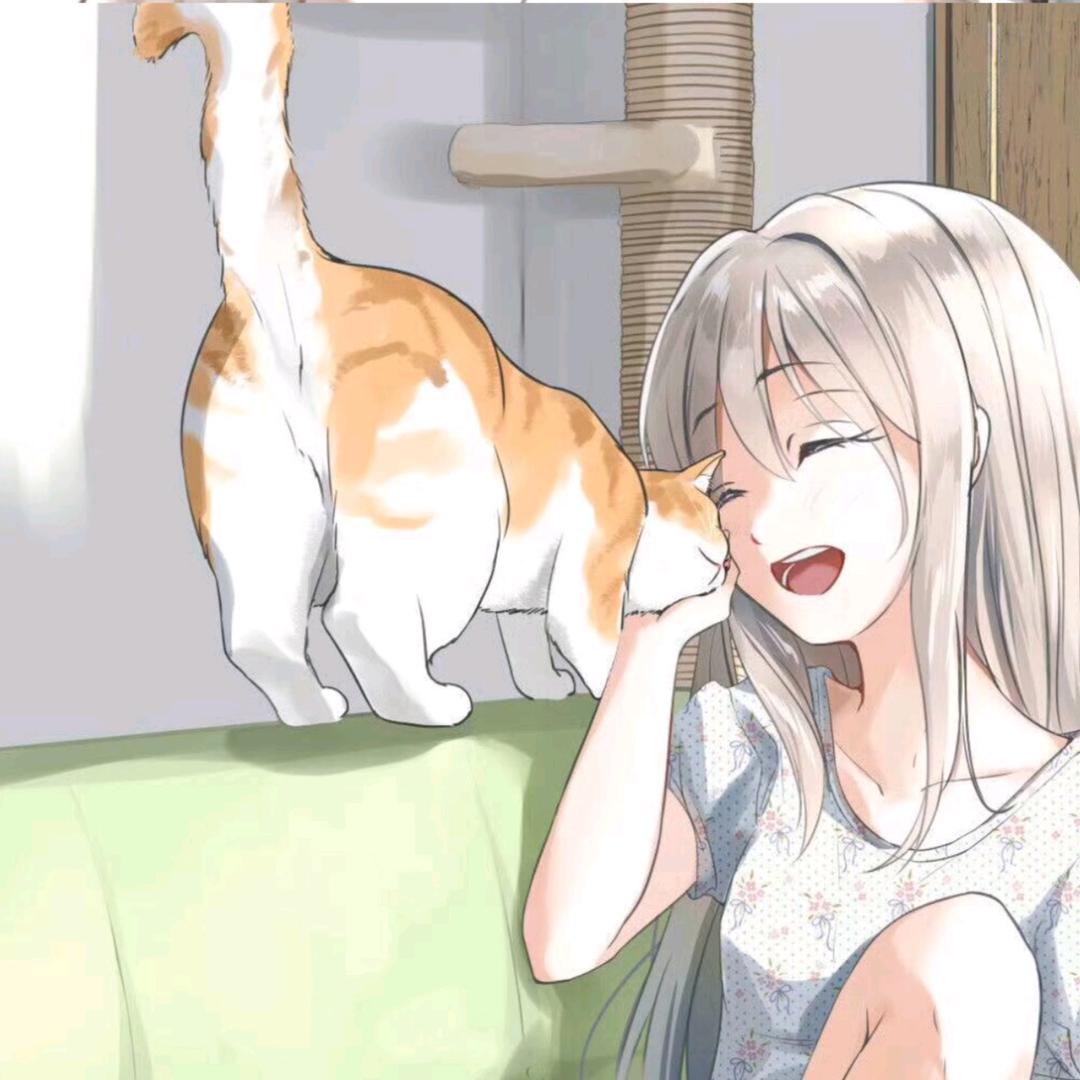 橙羽