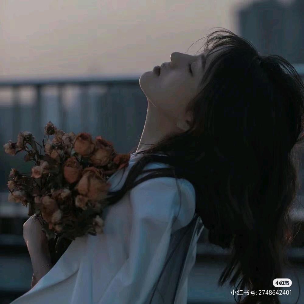 知夏🍁