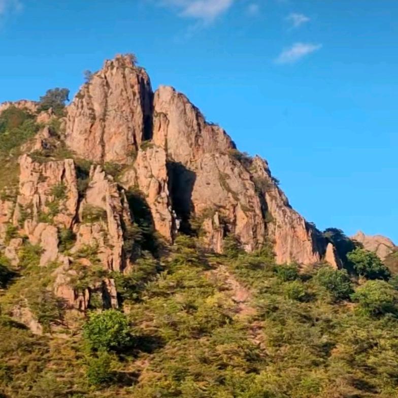 塞北燕子（跑山鸡鸭鹅）