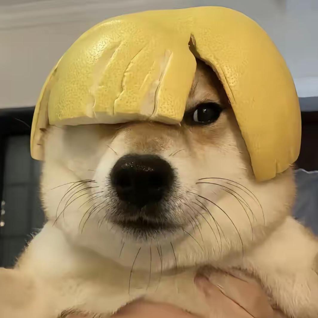 橘子🍊