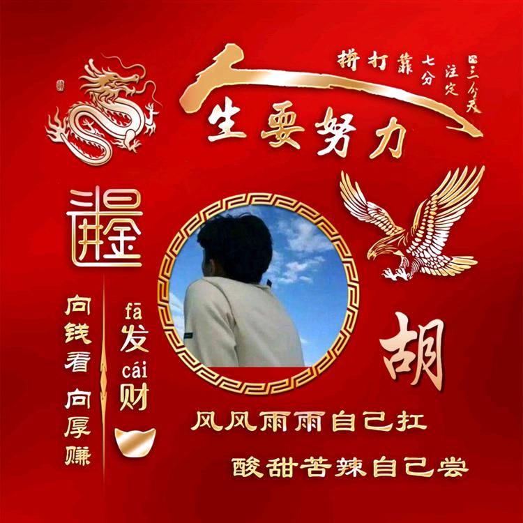 年华如锦