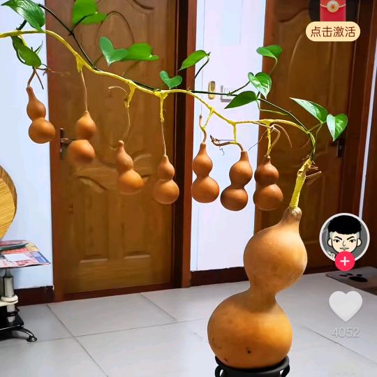 开心泡泡