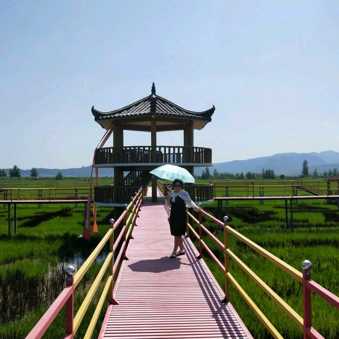 风景御姐，有关必回