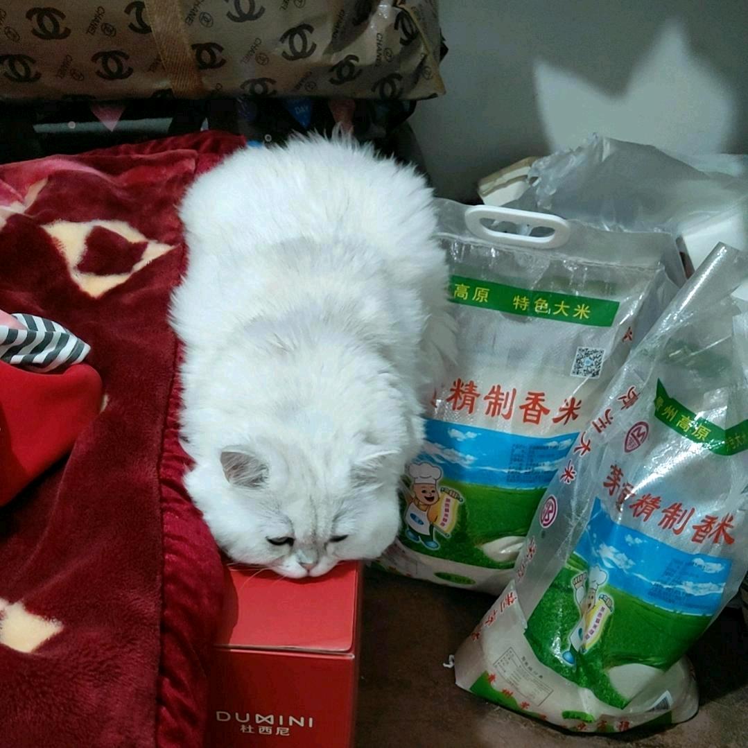 一二