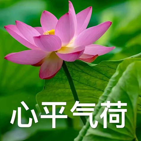 花深