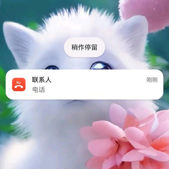 小王爷