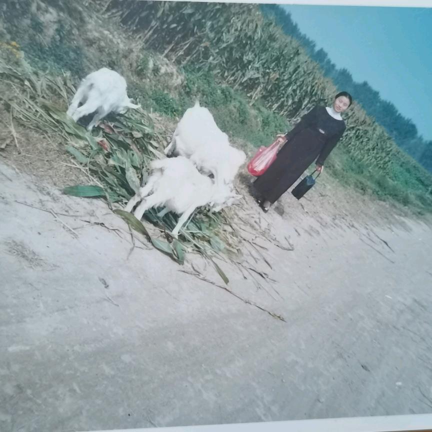 宿州热水器陈姐