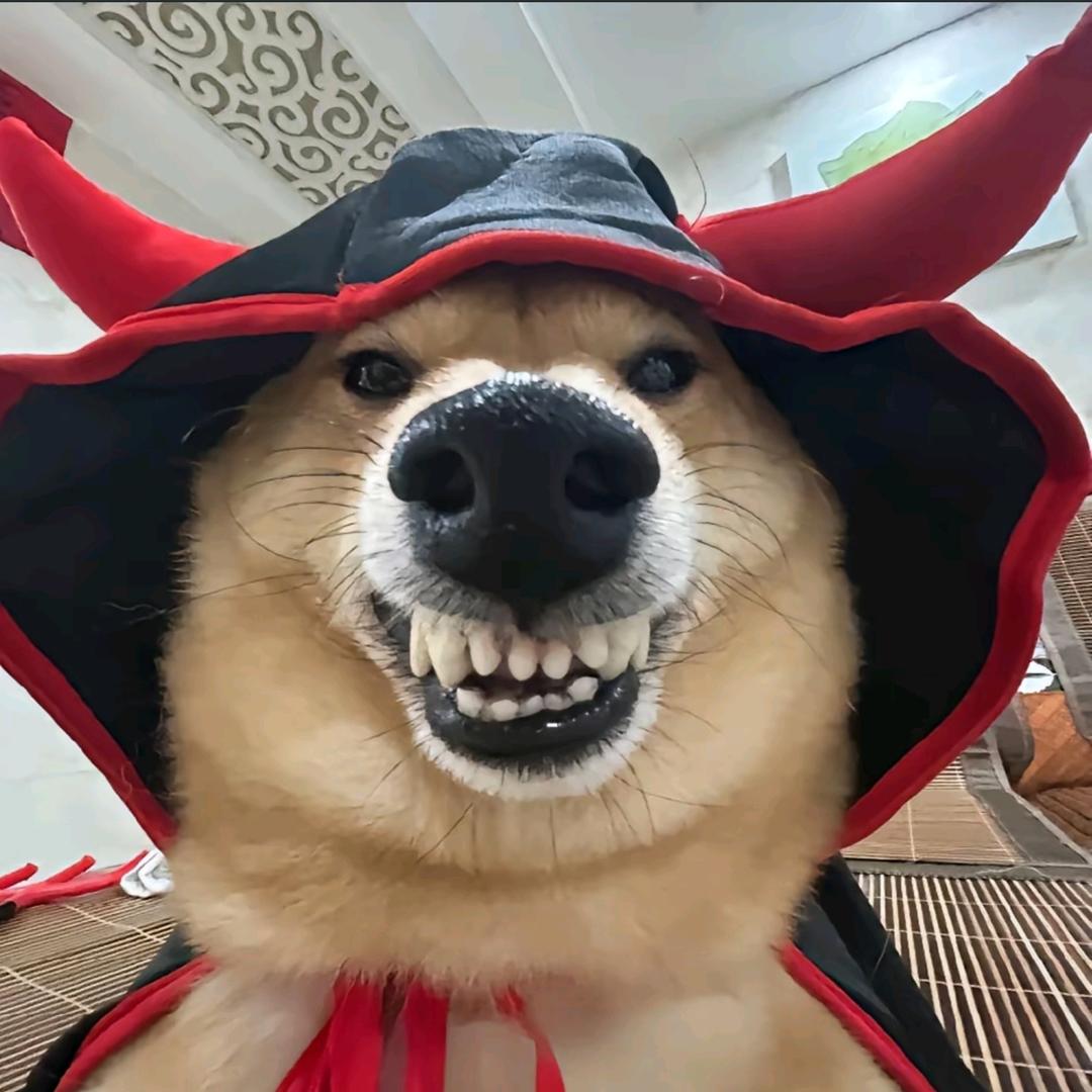 应如何