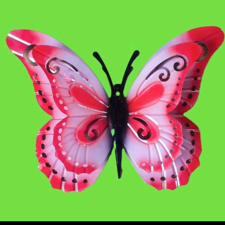 🧚🏻‍♀️我行我素🦋