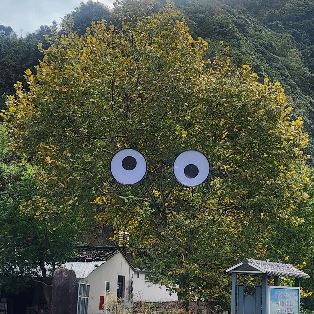 lenZ