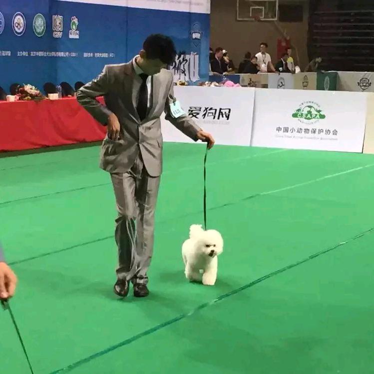 长春有它宠美造型