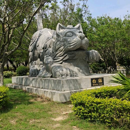 俞上同