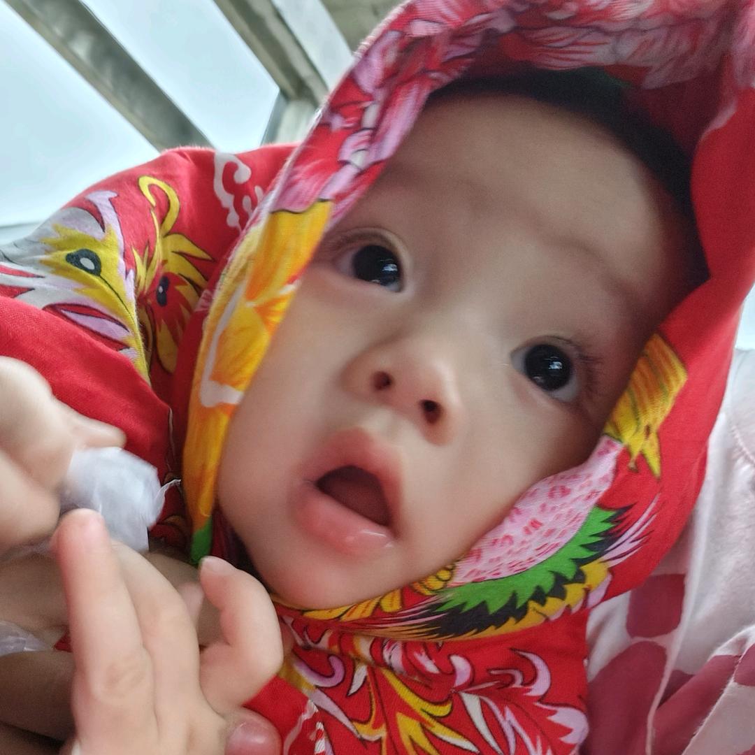 " 空心的菜