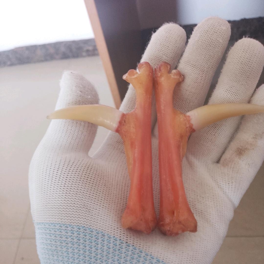 🌾桂海生缘🌴