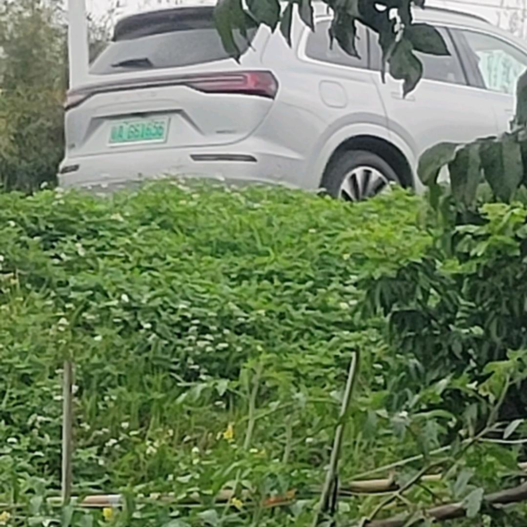 皇皇子