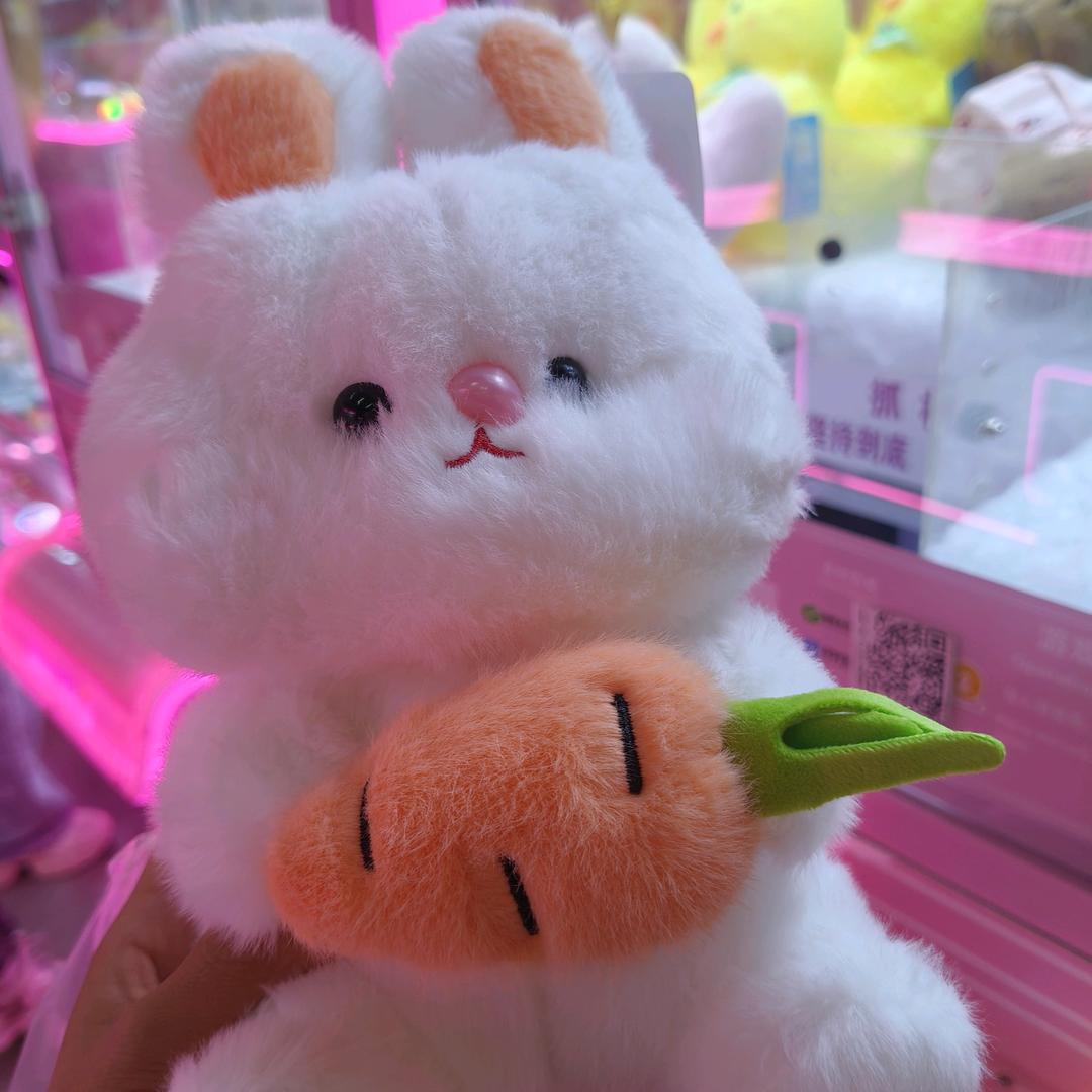 梦欣橙