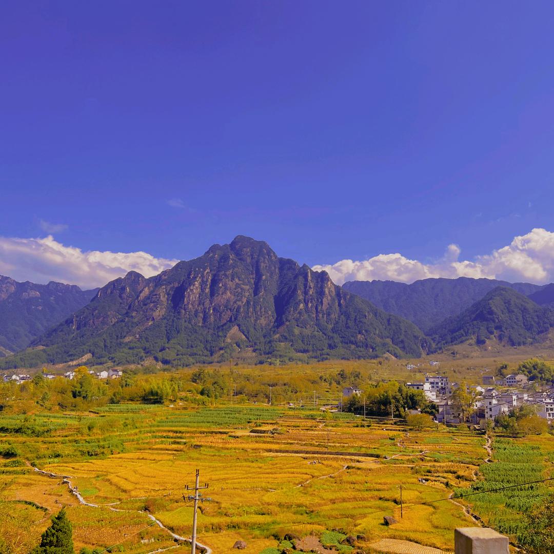 聪哥⛰️